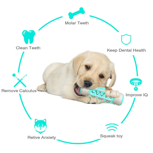 "Dental Care Chewy for Dogs